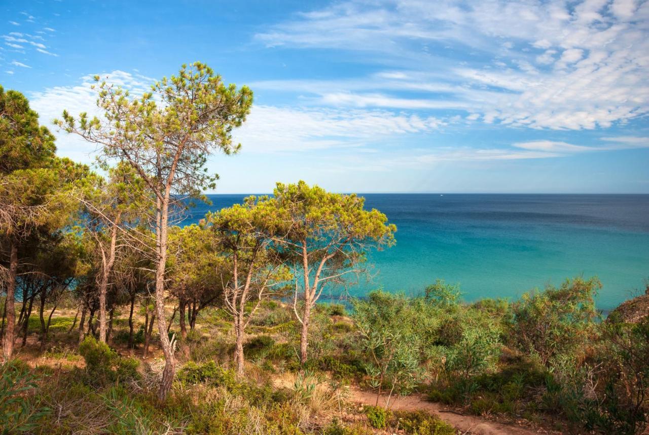 Baia Delle Palme Beach Santa Margherita di Pula Dış mekan fotoğraf